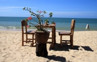 Love through sense of summer…